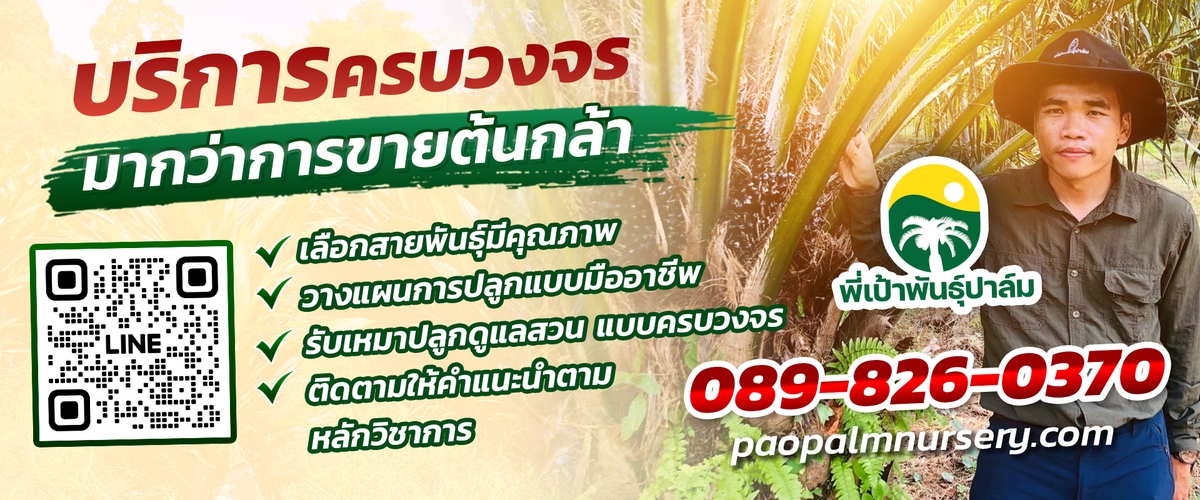 บริการครบวงจร พี่เป้าพันธุ์ปาล์ม